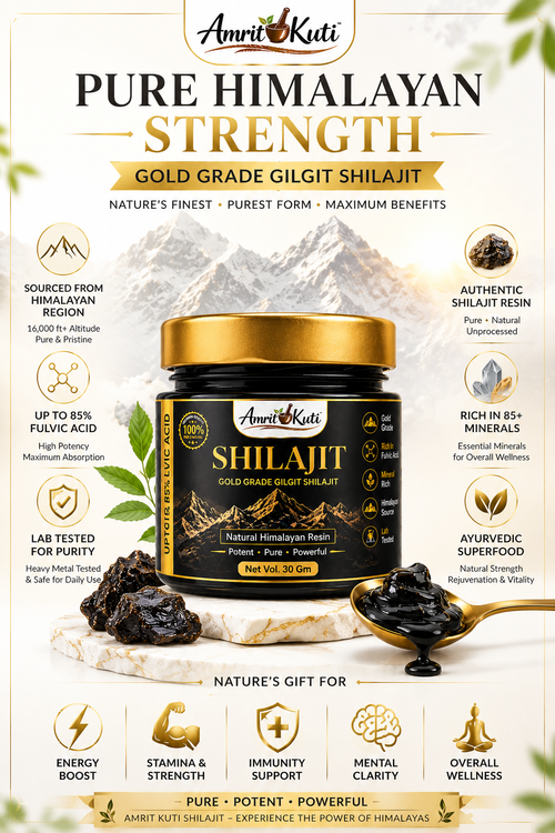 Amrit Kuti Shilajit | Gold Grade Gilgit Shilajit Resin